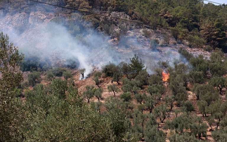 Πυρκαγιές: Καλή η εικόνα στη Μάνδρα, οριοθετημένη στο Χαϊδάρι, σε εξέλιξη στον Έβρο, χωρίς ενεργό μέτωπο στη Λέσβο