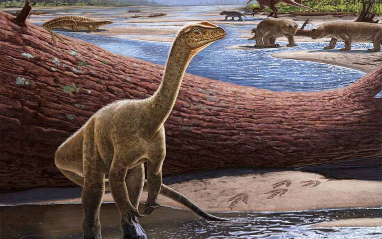 Επιστήμη: Ανακαλύφθηκε ο αρχαιότερος δεινόσαυρος της Αφρικής
