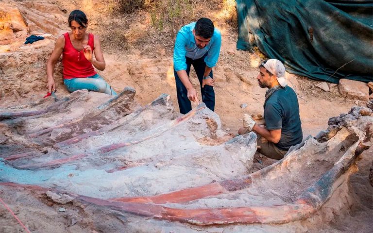 Πορτογαλία: Ο μεγαλύτερος δεινόσαυρος στην Ευρώπη βρέθηκε… στην πίσω αυλή ενός σπιτιού