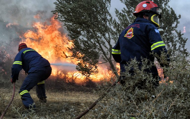 Δασικές πυρκαγιές: Ρεκόρ καμένων εκτάσεων φέτος στην Ευρώπη