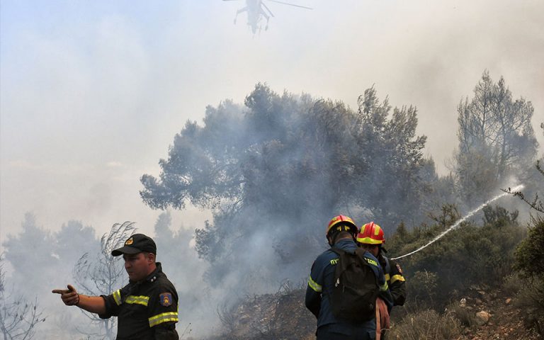 Φωτιά τώρα στη Μεσσηνία – Ενεργοποιήθηκε το 112