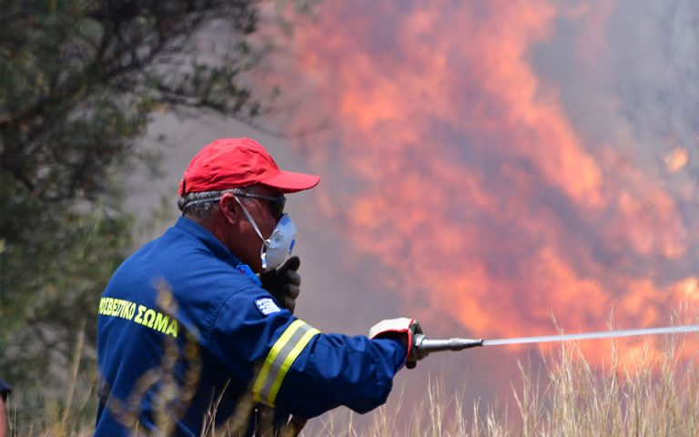 Πυρκαγιές: Σε εξέλιξη πυρκαγιά στη Μεσσηνία – Υπό μερικό έλεγχο στη Φθιώτιδα