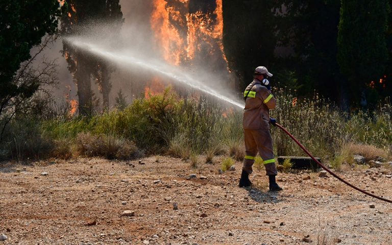 Κρήτη: Φωτιές σε Ρέθυμνο και Ηράκλειο – Επί ποδός η πυροσβεστική