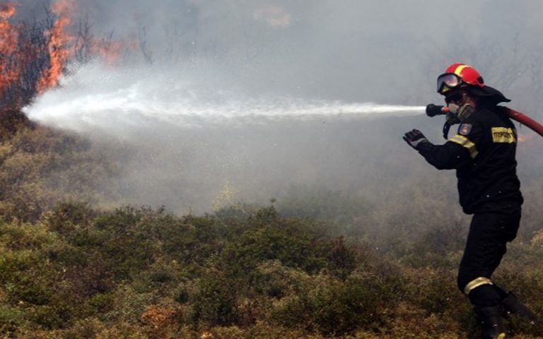 Φωτιά στη Νάξο: Ενισχύθηκαν οι δυνάμεις της πυροσβεστικής
