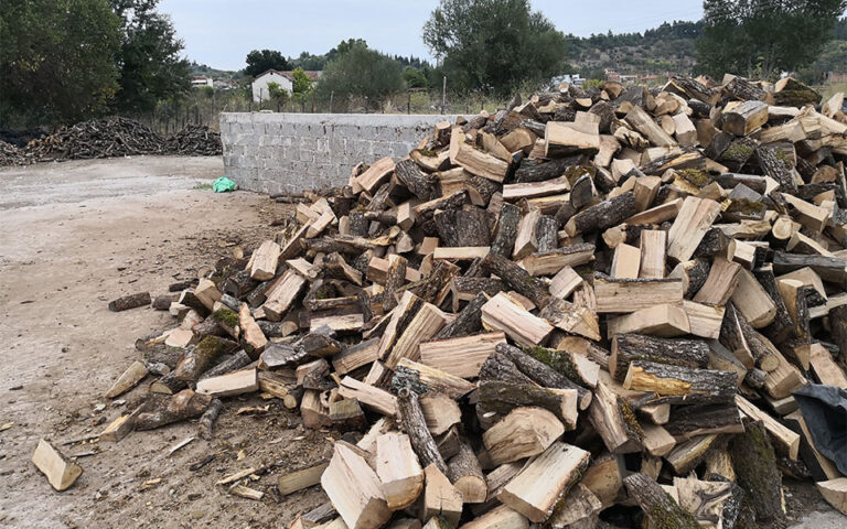 Προς απαγόρευση η εξαγωγή ξυλείας από την Ελλάδα