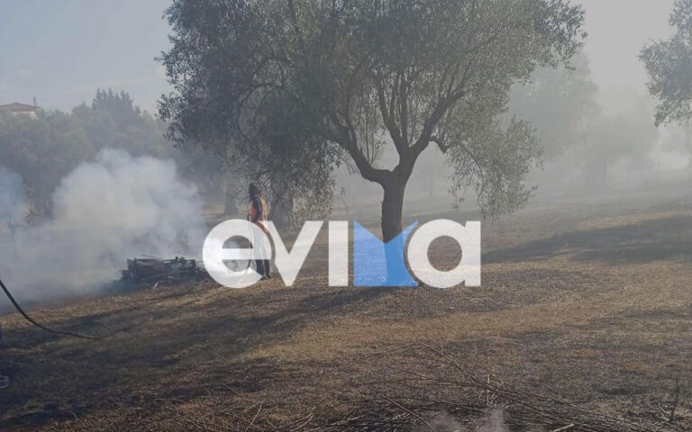 Εύβοια: Πυρκαγιά στην Ερέτρια