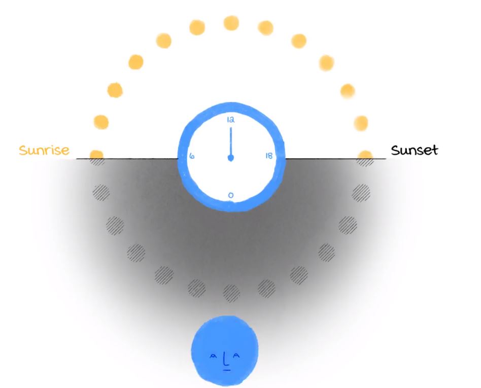 Πώς η θερινή ώρα επηρεάζει το βιολογικό μας ρολόι – Οι ειδικοί απαντούν-10
