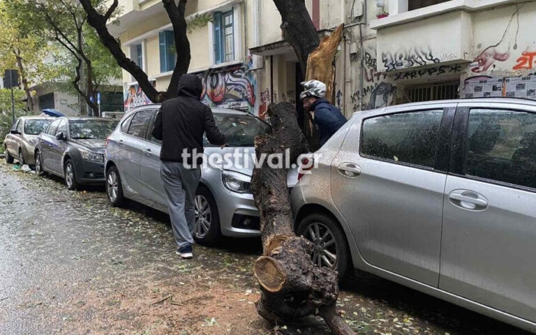 Κακοκαιρία Άριελ: Διακοπές ρεύματος και πτώσεις δέντρων στη Θεσσαλονίκη