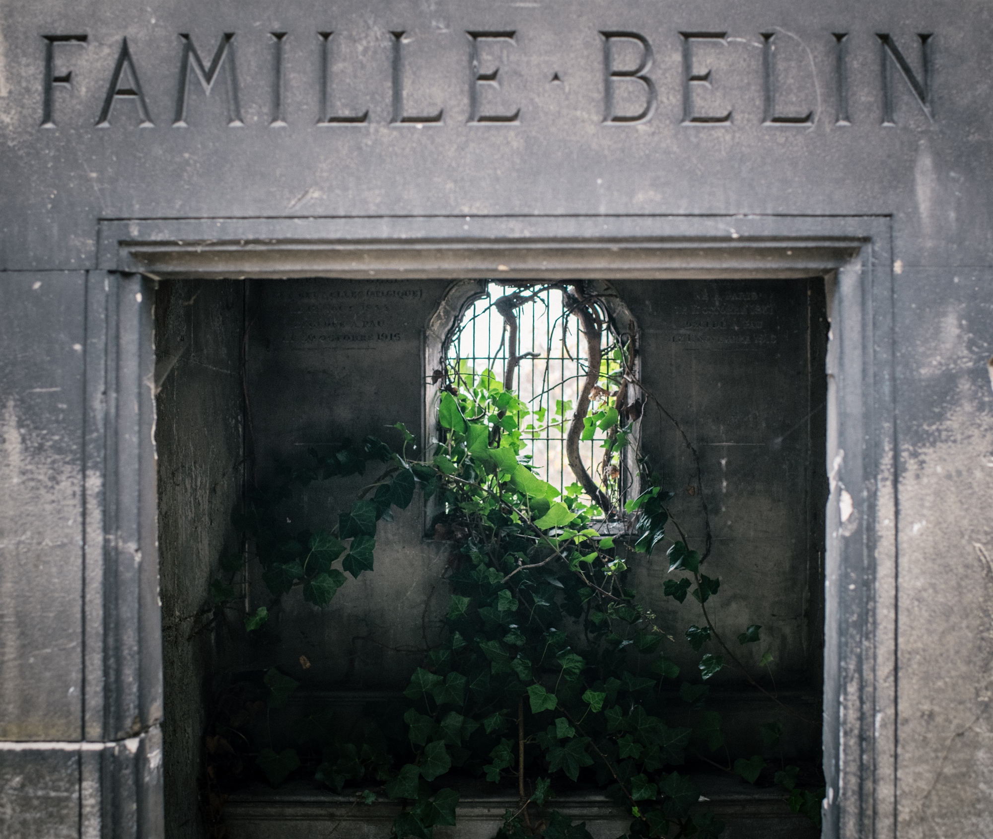 Παρίσι: Ένα κοιμητήριο, καταφύγιο για την άγρια πανίδα-1