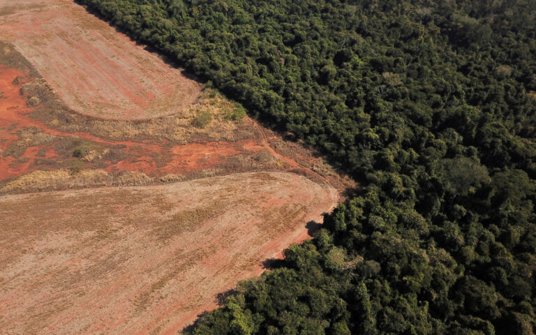 Βραζιλία: Ο Λούλα επιβάλλει ήδη μέτρα προστασίας του Αμαζονίου – Εικόνες αποκαλύπτουν την έκταση της αποψίλωσης