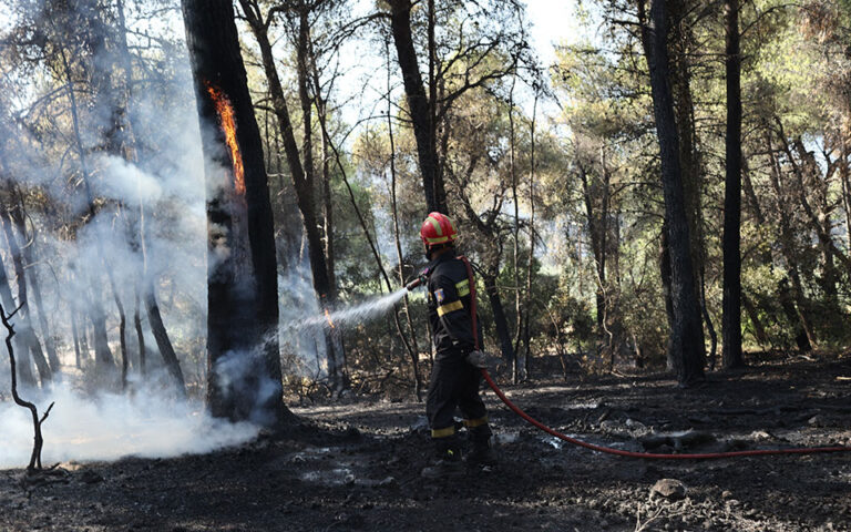 Εύβοια: Κάηκαν περισσότερα από 40 στρέμματα στα Ψαχνά
