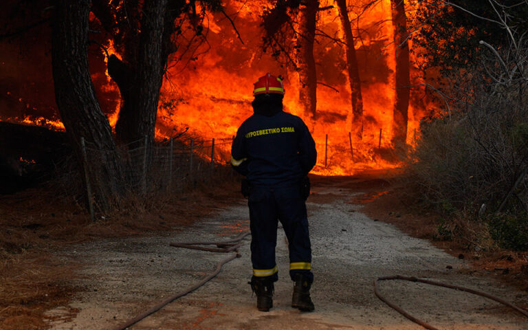 Εύβοια: Μεγάλη φωτιά σε υδροβιότοπο στα Ψαχνά (βίντεο)