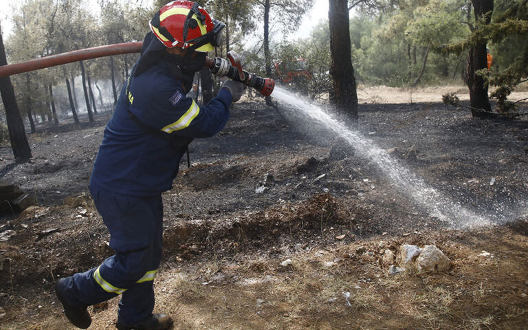 Θεσσαλονίκη: Φωτιά σε δασική έκταση στο Σέιχ Σου – Τέθηκε άμεσα υπό έλεγχο
