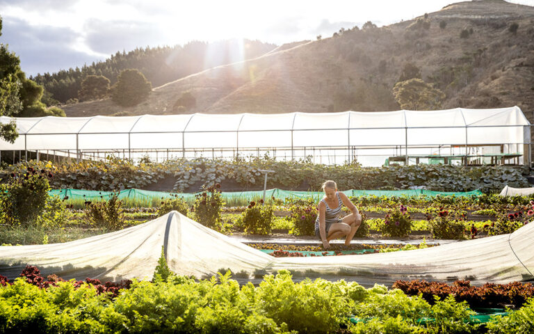 Ωκεανία: Κάνοντας εθελοτουρισμό σε μια βιολογική φάρμα της Νέας Ζηλανδίας