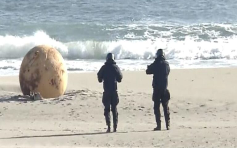 «Αυγό Γκοτζίλα»: Μια μυστηριώδης σφαίρα ξεβράστηκε σε παραλία της Ιαπωνίας