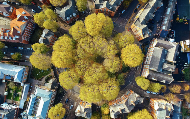 Ερευνα: Περισσότερα δέντρα στις πόλεις της Ευρώπης θα σώσουν χιλιάδες ζωές