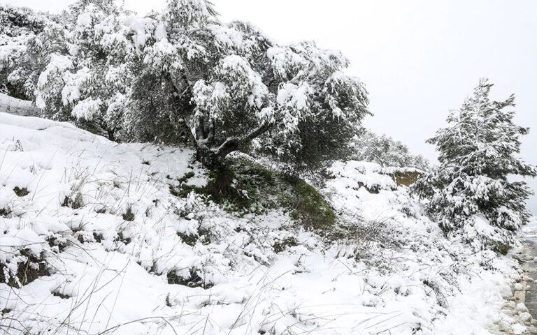 Κακοκαιρία «Μπάρμπαρα»: Στους 40 πόντους το χιόνι στο Οροπέδιο Λασιθίου – Κλειστά και αύριο τα σχολεία