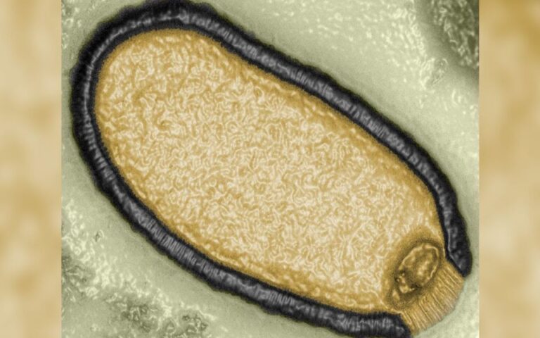 Οι επιστήμονες αναβίωσαν «ιό-ζόμπι» μετά από 48.500 χρόνια