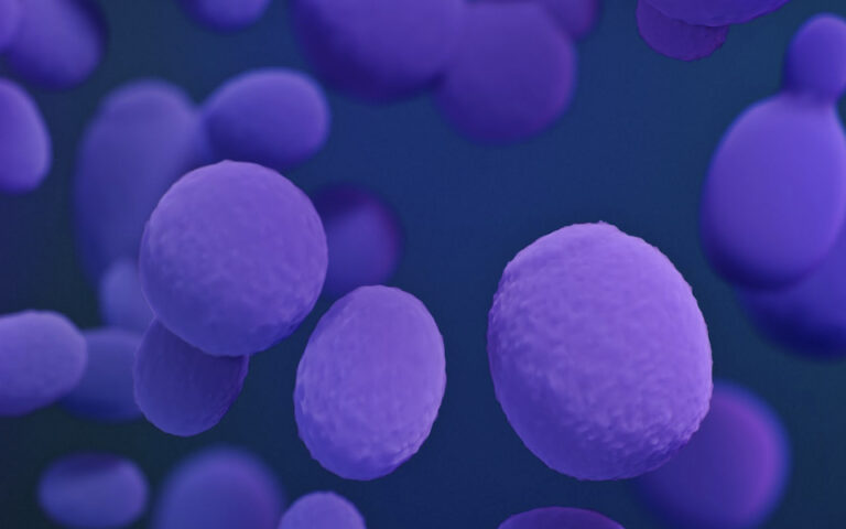 CDC: Δυνητικά θανατηφόρος μύκητας εξαπλώνεται «με ανησυχητικό ρυθμό»
