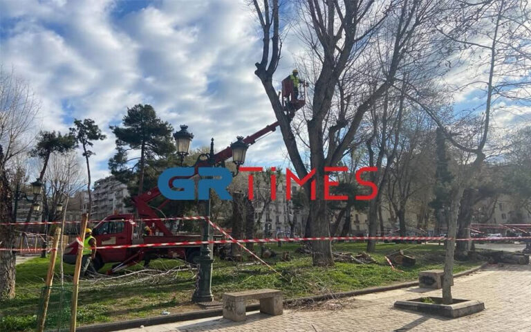 Θεσσαλονίκη: Νέα κινητοποίηση ενάντια στις κοπές δέντρων – Προσαγωγές από την Αστυνομία
