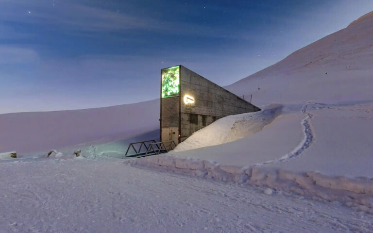 Παγκόσμια Τράπεζα Σπόρων: 3D περιήγηση στον παγωμένο «καθεδρικό ναό» της ανθρωπότητας
