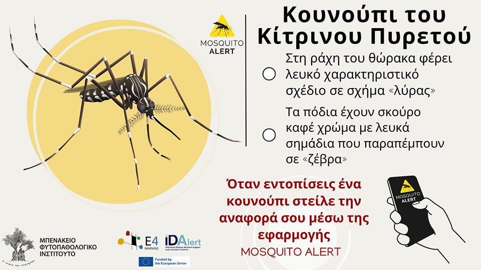 Mosquito Alert: Το νέο «όπλο» στον πόλεμο εναντίoν των κουνουπιών-2