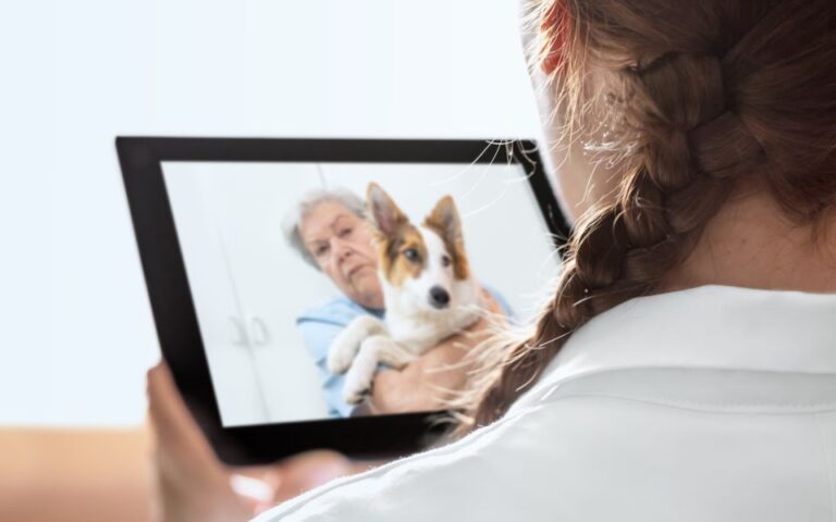 Virtual επισκέψεις στον κτηνίατρο, η «συνταγή» για το άγχος που βιώνουν τα κατοικίδια