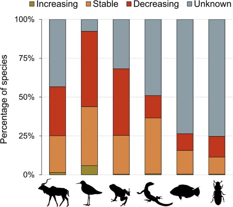 Η συρρίκνωση πληθυσμών ζώων «δραματικά πιο ανησυχητική από τις εκτιμήσεις»-1