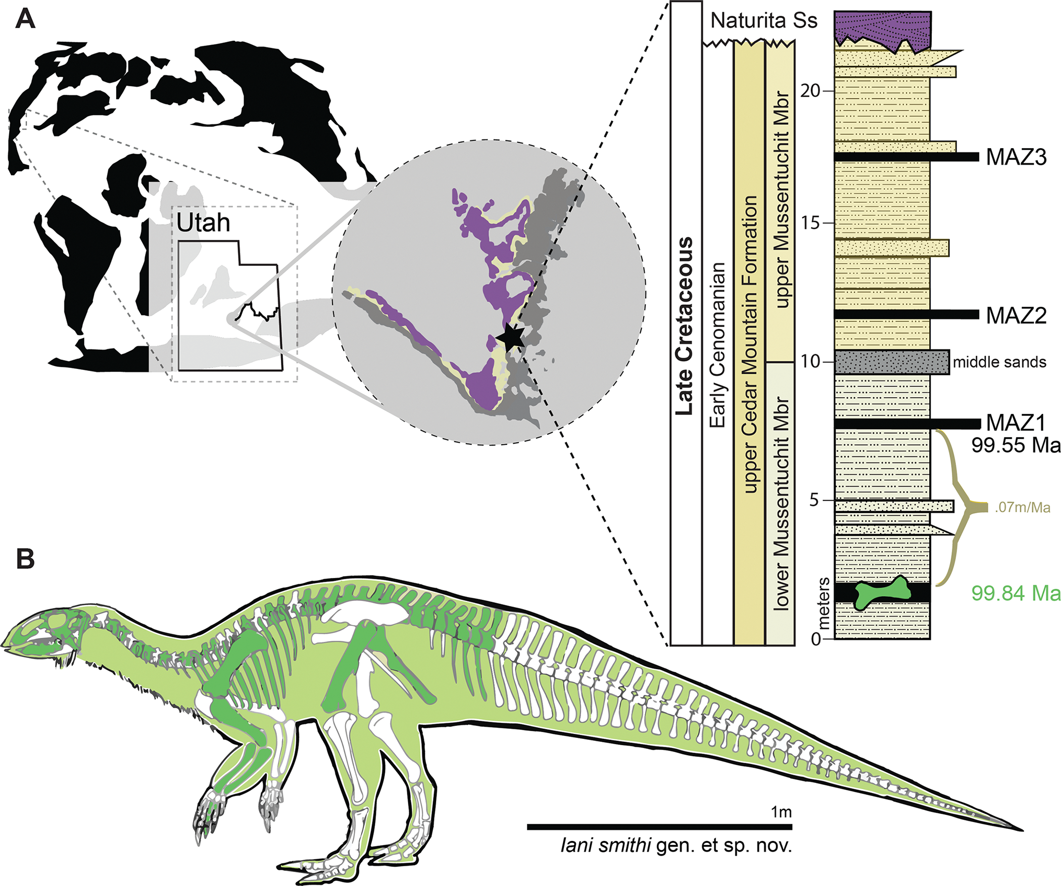 New dinosaur species 'reveals' climate change 100 million years ago