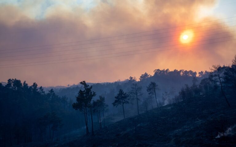 Αρτοποιός στην «Κ»: Δύσκολη η κατάσταση στη Ρόδο – Η φωτιά καίει πυκνό δάσος με μεγάλο όγκο βιομάζας