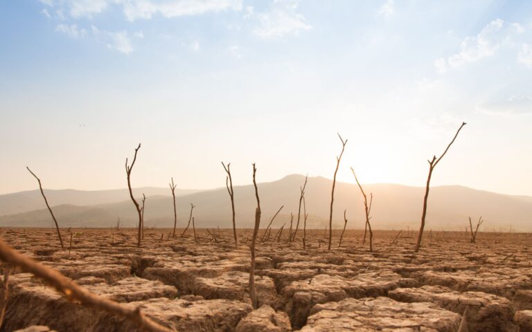 ΟΗΕ: Η κλιματική αλλαγή απειλεί με ένα «δυστοπικό, τρομακτικό» μέλλον λιμού και δεινών
