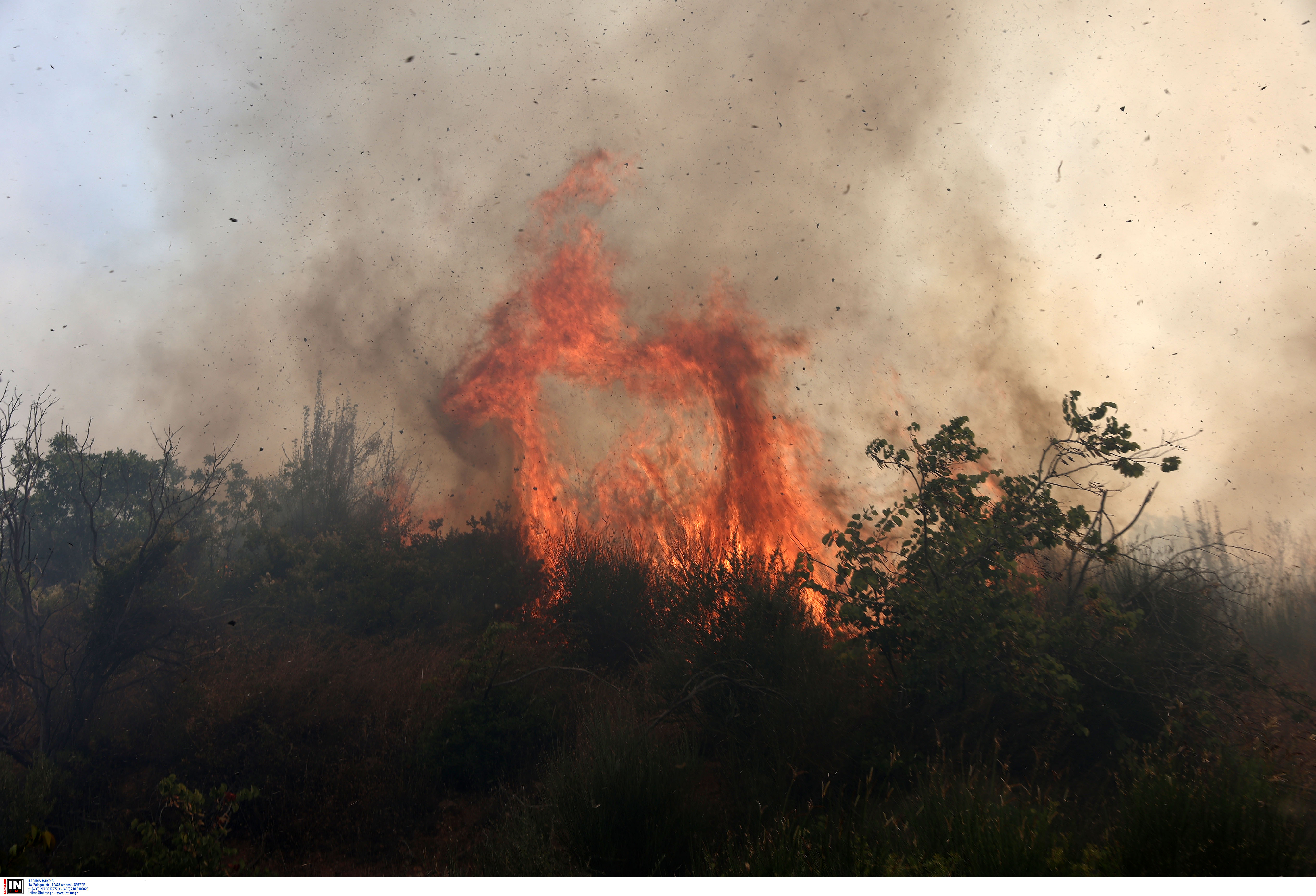 Φωτιές: Μάχη με τις φλόγες στα Δερβενοχώρια – Οι εξελίξεις από όλα τα μέτωπα-1