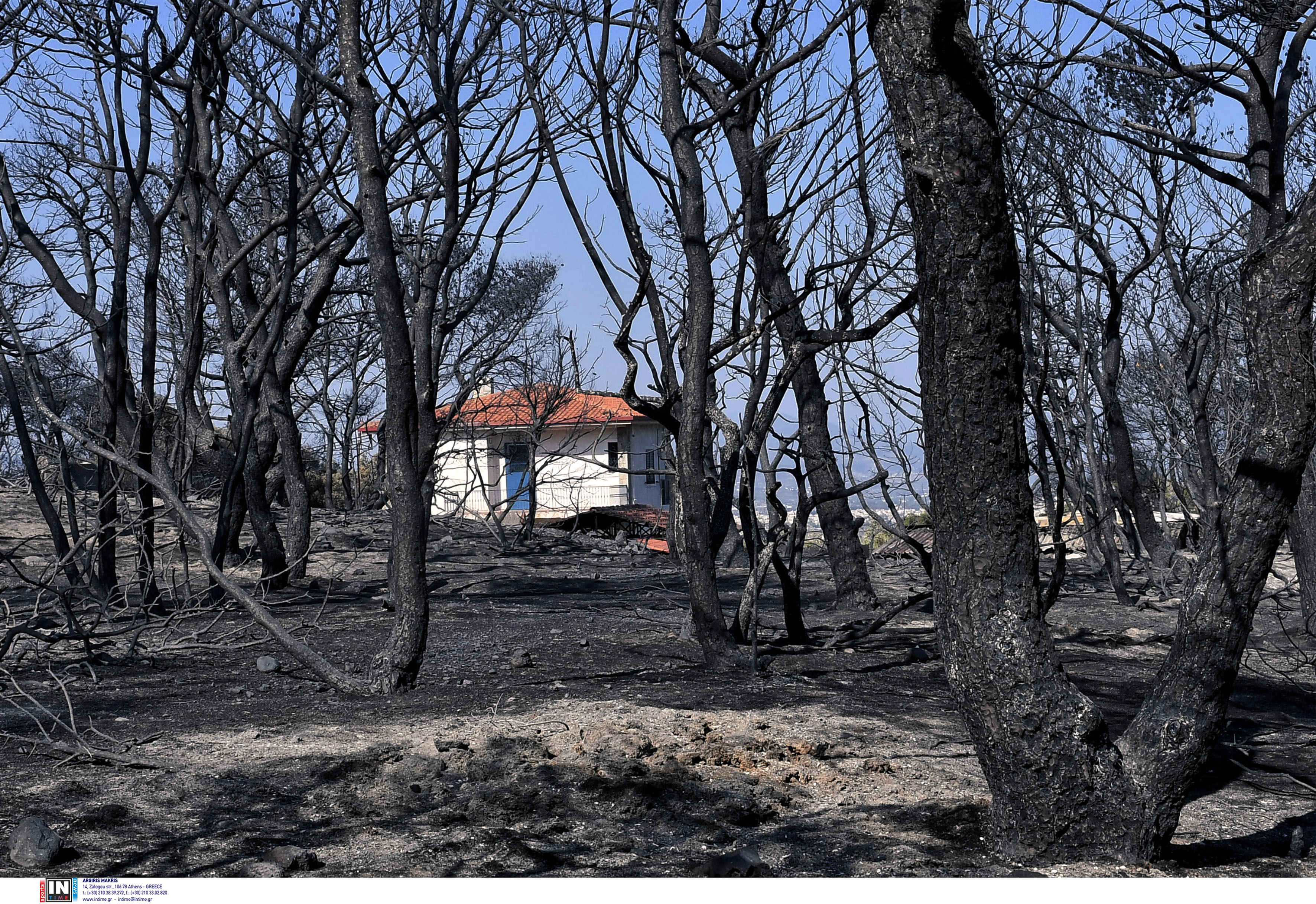 Πυρκαγιές: Μάχη με τις φλόγες για τρίτη ημέρα – Οι εξελίξεις από τα πύρινα μέτωπα-3