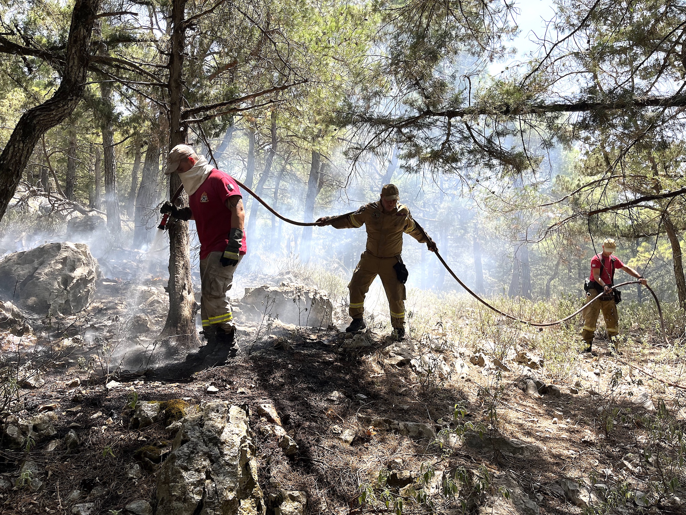 Πυρκαγιά στη Ρόδο: «Εάν δεν είχαμε τους εθελοντές δεν θα πηγαίναμε πουθενά»-2