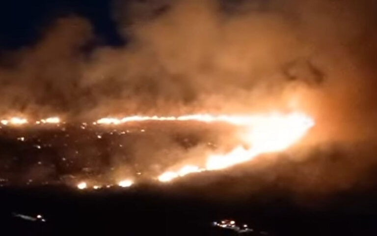 Εύβοια: Πυρκαγιά σε δασική έκταση – Μεγάλη κινητοποίηση της Πυροσβεστικής