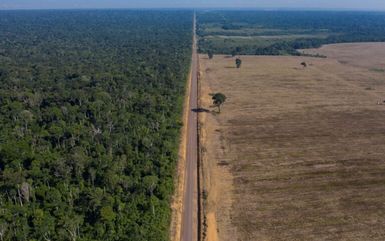 Βραζιλία: Η αποψίλωση του Αμαζονίου μειώθηκε κατά ένα τρίτο εντός 2023