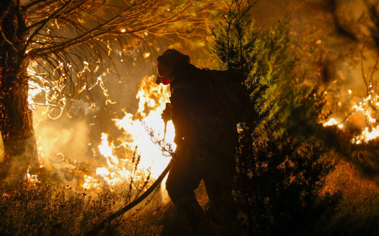 Φωτιά στη Χίο: Στάχτη 600 στρέμματα πευκοδάσους