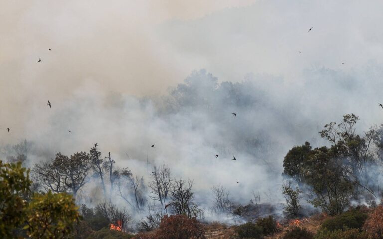 Πυρκαγιά στον Εβρο: Επιμένουν οι αναζωπυρώσεις – Μάχη με τις φλόγες για 12η μέρα