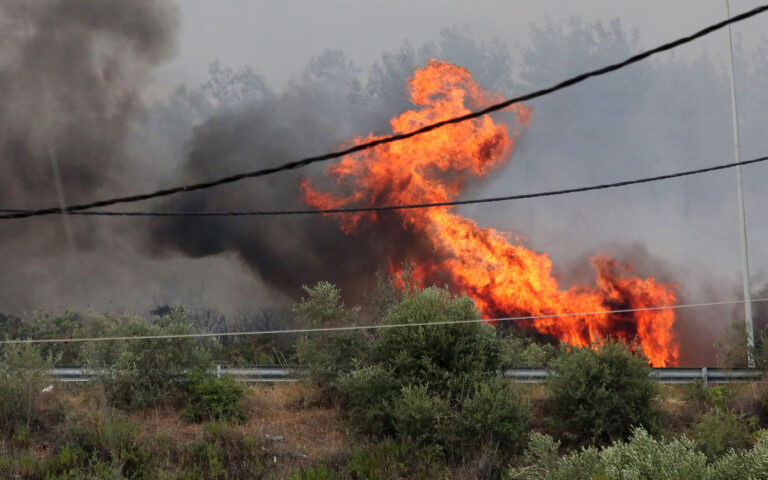 Φωτιά στον Εβρο: Νέα «112» για εκκενώσεις οικισμών