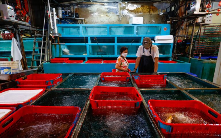 Η Κίνα απαγόρευσε την εισαγωγή ψαριών από την Ιαπωνία