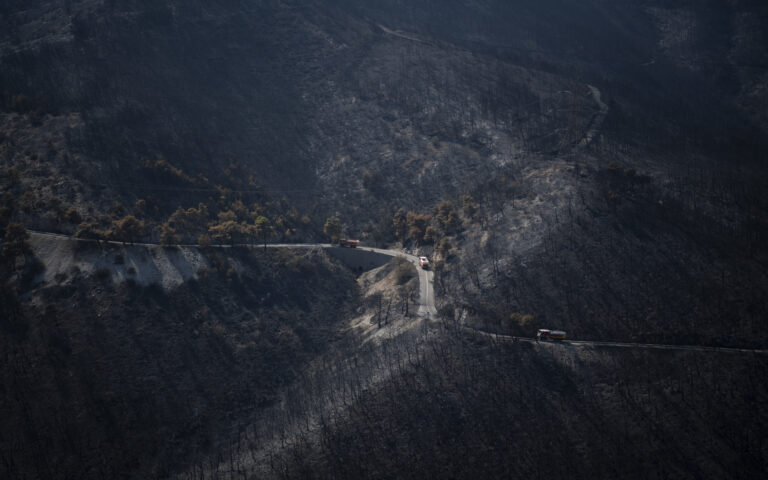 Meteo: Το 33% των δασών της Αττικής κάηκε μέσα σε 7 χρόνια