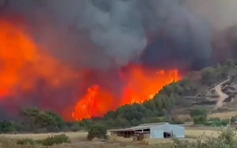 Αλεξανδρούπολη: Μαίνεται η μεγάλη πυρκαγιά – Εκκενώνονται 8 οικισμοί