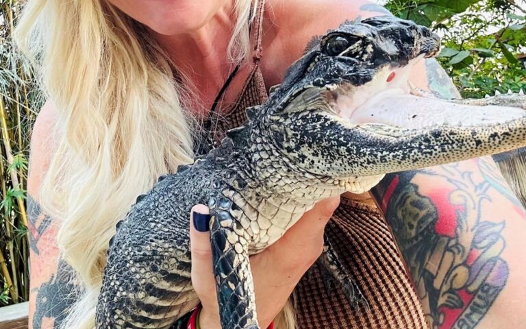 Φλόριντα: Πάρκο υιοθέτησε αλιγάτορα χωρίς άνω γνάθο – «Δεν θα επιβίωνε μόνος»