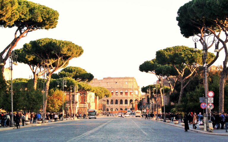 Ρώμη: Τα εμβληματικά πεύκα «ομπρέλες» της Αιώνιας Πόλης απειλούνται – και όχι μόνο από τα έντομα