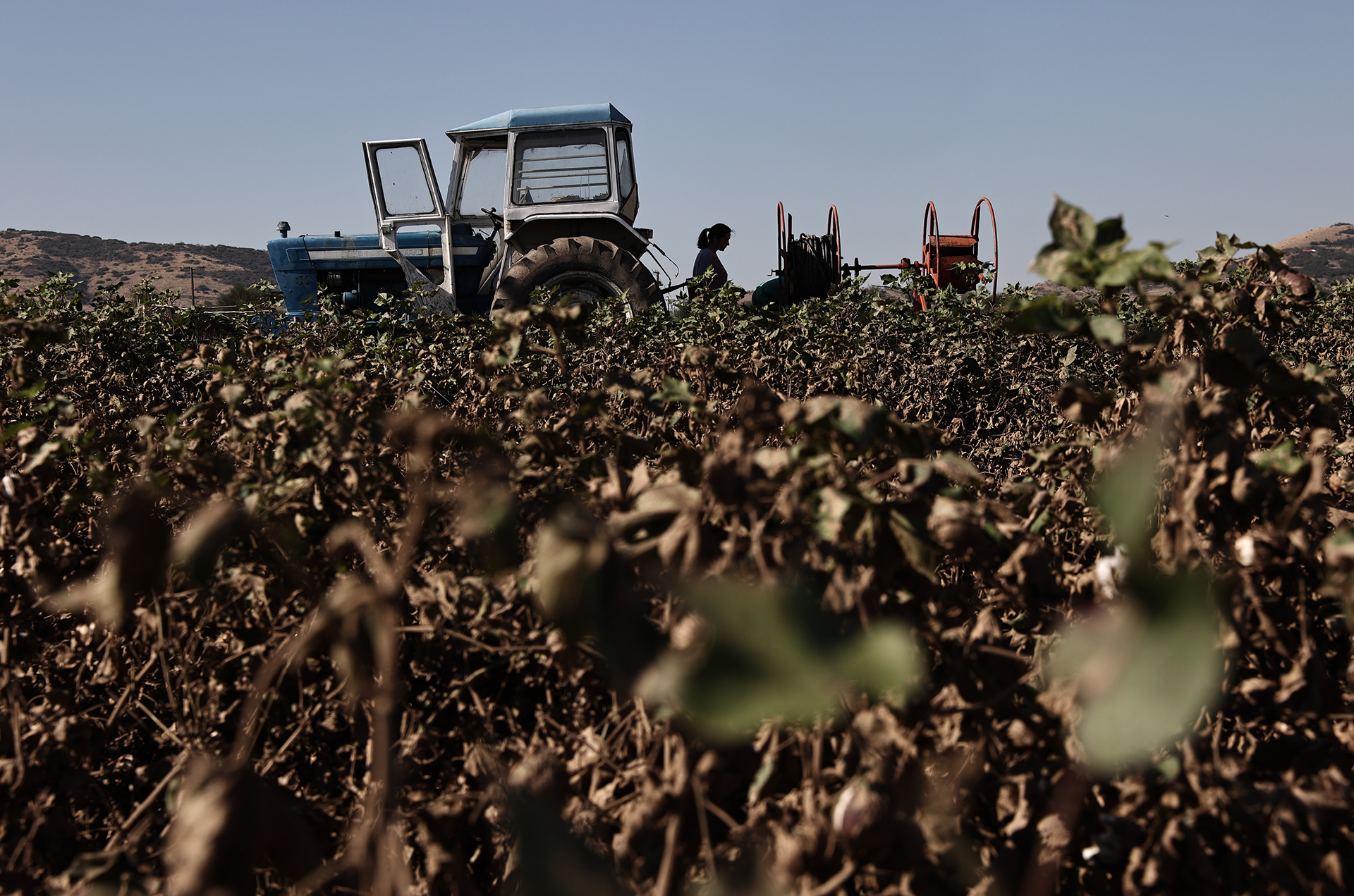Θεσσαλία: Το αποτύπωμα της καταστροφής στην αγροτική παραγωγή-2