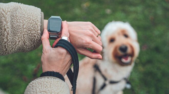 ξέρατε-ότι-υπάρχει-smartwatch-για-σκύλους-562618771