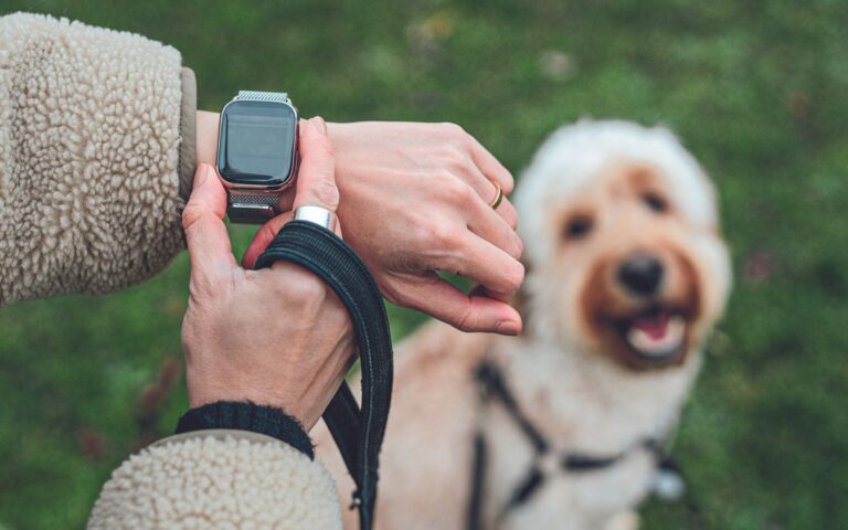Ξέρατε ότι υπάρχει smartwatch για σκύλους;