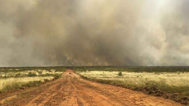 δασικές-πυρκαγιές-στην-αυστραλία-εν-μ-562626328