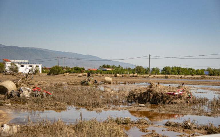 Θεσσαλία: Καταστροφές στο 70% στη βαμβακοκαλλιέργειας – Μεγάλο πλήγμα και στη ζωική παραγωγή