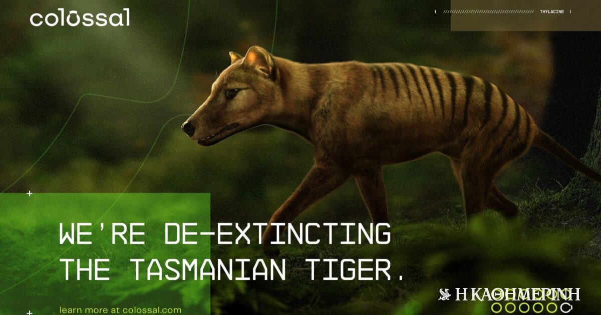 The first revolution: They collected RNA from the Tasmanian tiger, a species that became extinct 100 years ago.